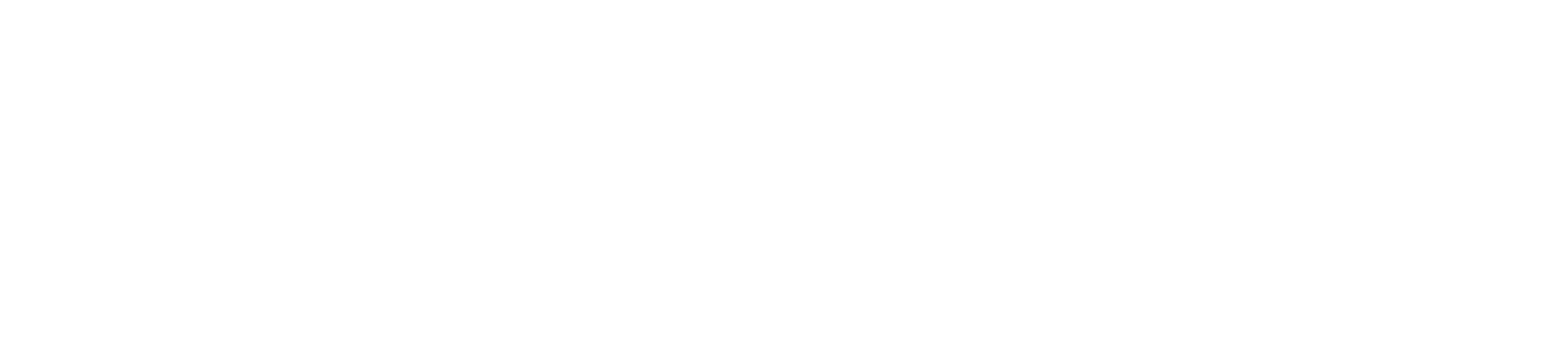 Premium Raw Pet food